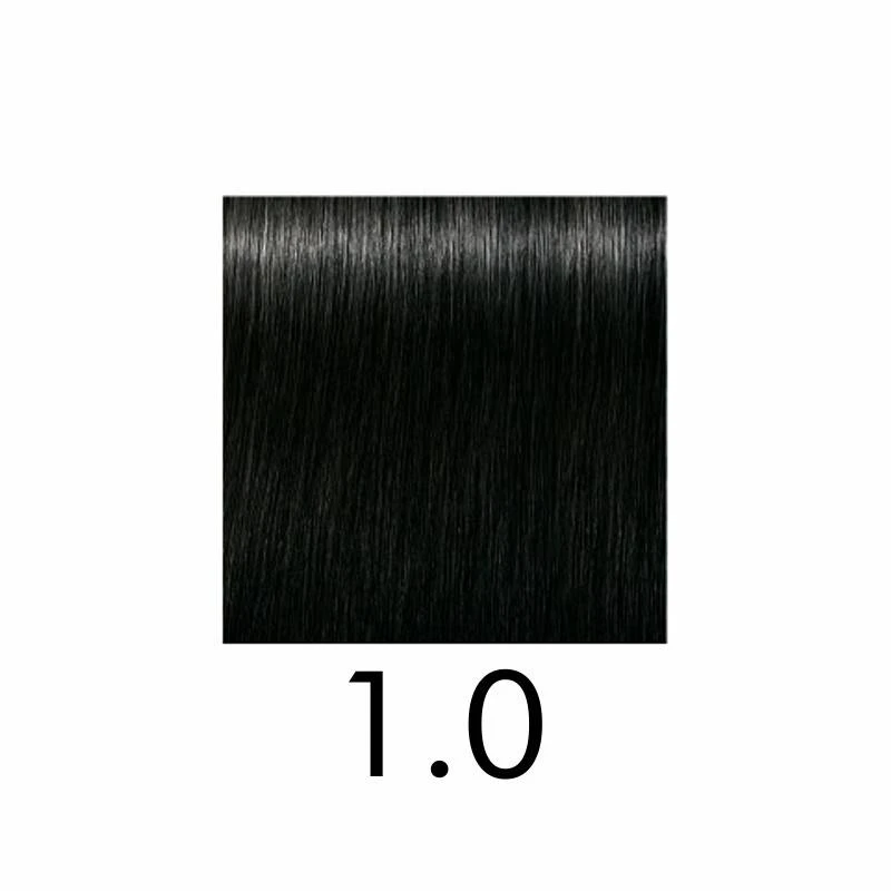 IGORA ROYAL - Imagen 2